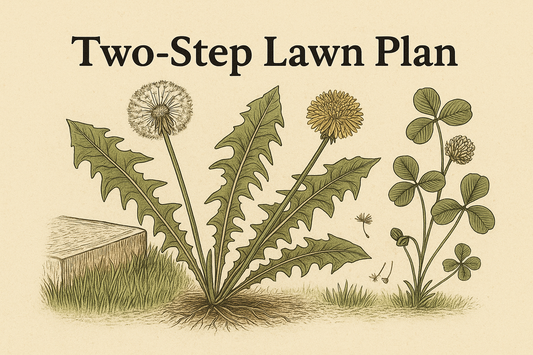A Simple Two-Step Program for a Greener, Tougher Lawn