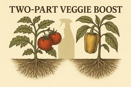 Grow Bigger and Better Vegetables: A Two-Part Feeding Plan