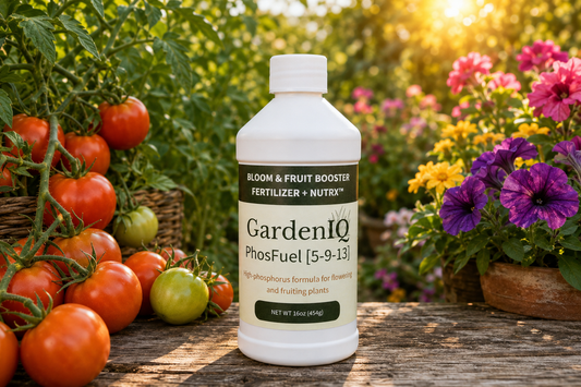 What Is PhosFuel — And When Should You Use It?