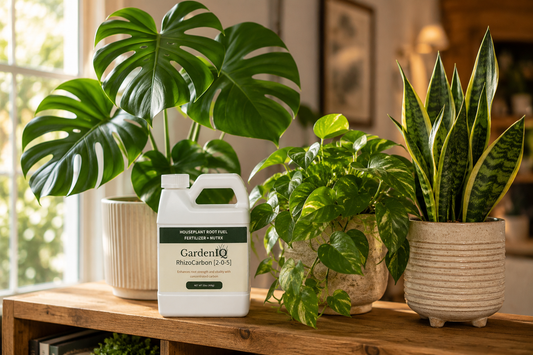 Best Fertilizer for Monstera, Pothos, and Snake Plants