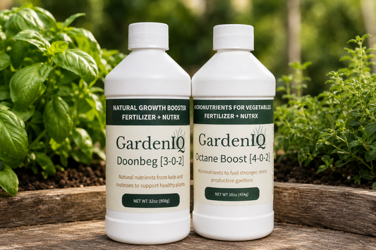 Doonbeg vs. Octane Boost — Which Booster Is Right for You?