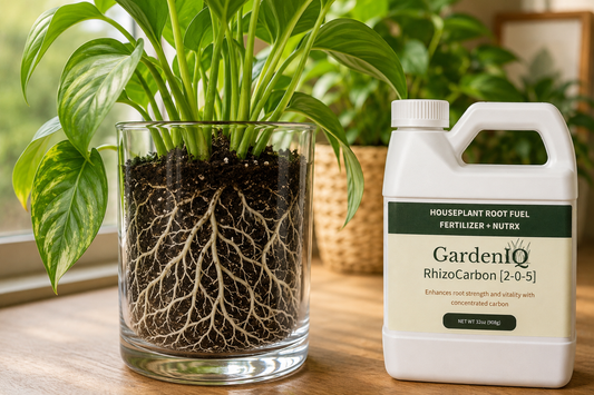 Healthy Roots, Happy Plants: A Guide to Houseplant Root Health
