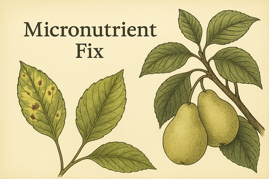 Micronutrients: The Missing Link Behind Faded Leaves and Flimsy Fruit